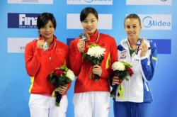 爱游戏-意大利跳水双人组合取得优异成绩的简单介绍