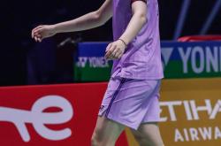 AYX官方直播-德国队险胜中国队，陈雨菲点燃赛场