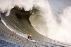 AYXapp下载-塔图姆关键先生本色尽显，黄蜂淘汰赛惊险过关奇才