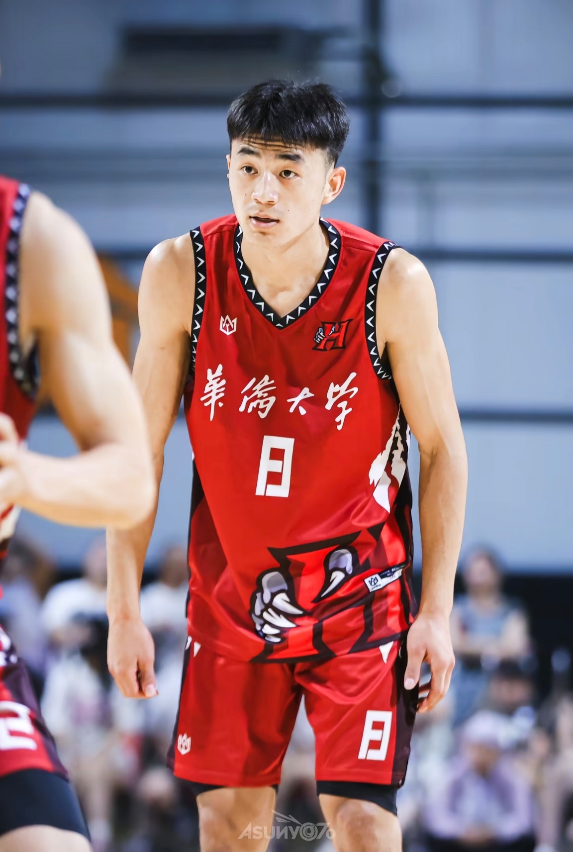 包含宁夏男篮击败对手，展示出色实力的词条