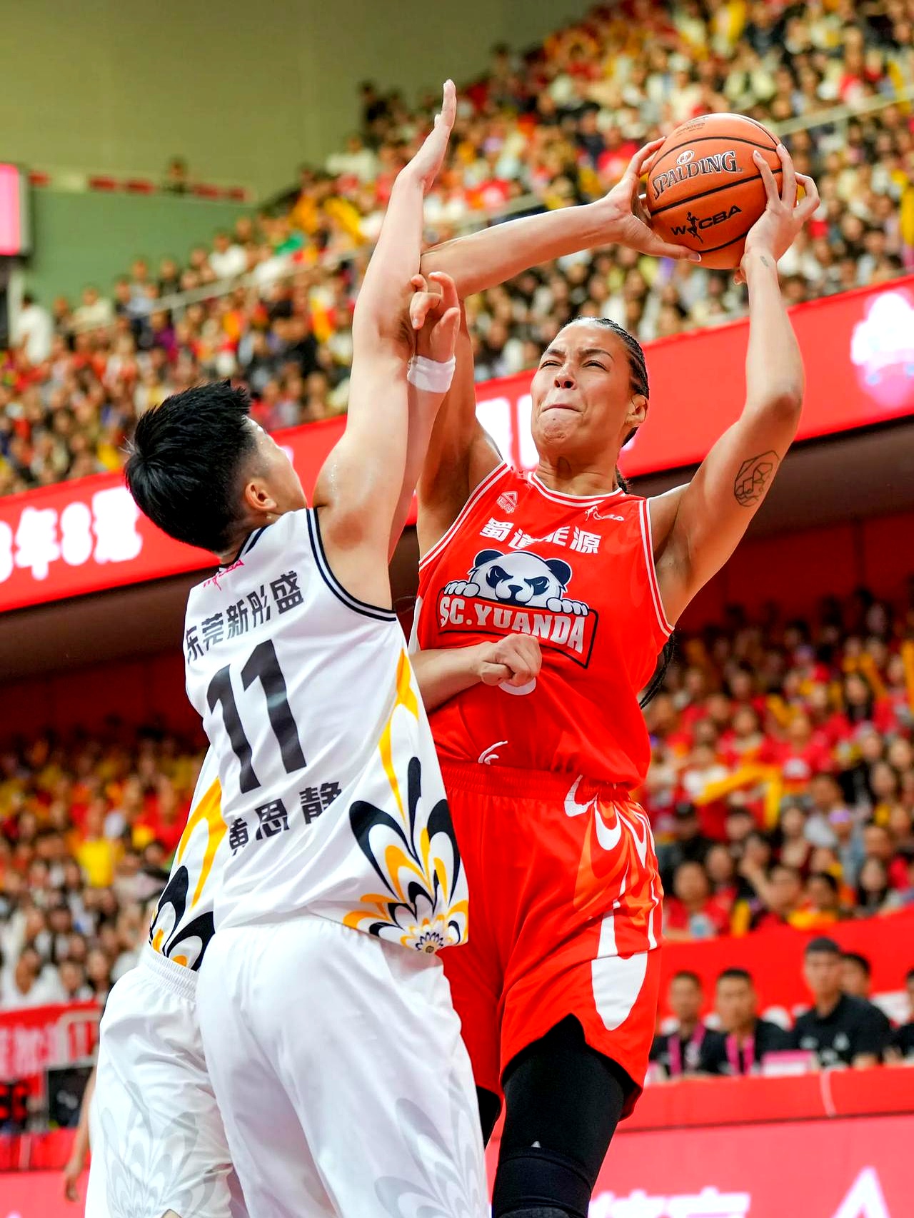 四川主场大胜广东,喜迎三连胜的简单介绍 四川主场大胜广东,喜迎三连胜的简单介绍