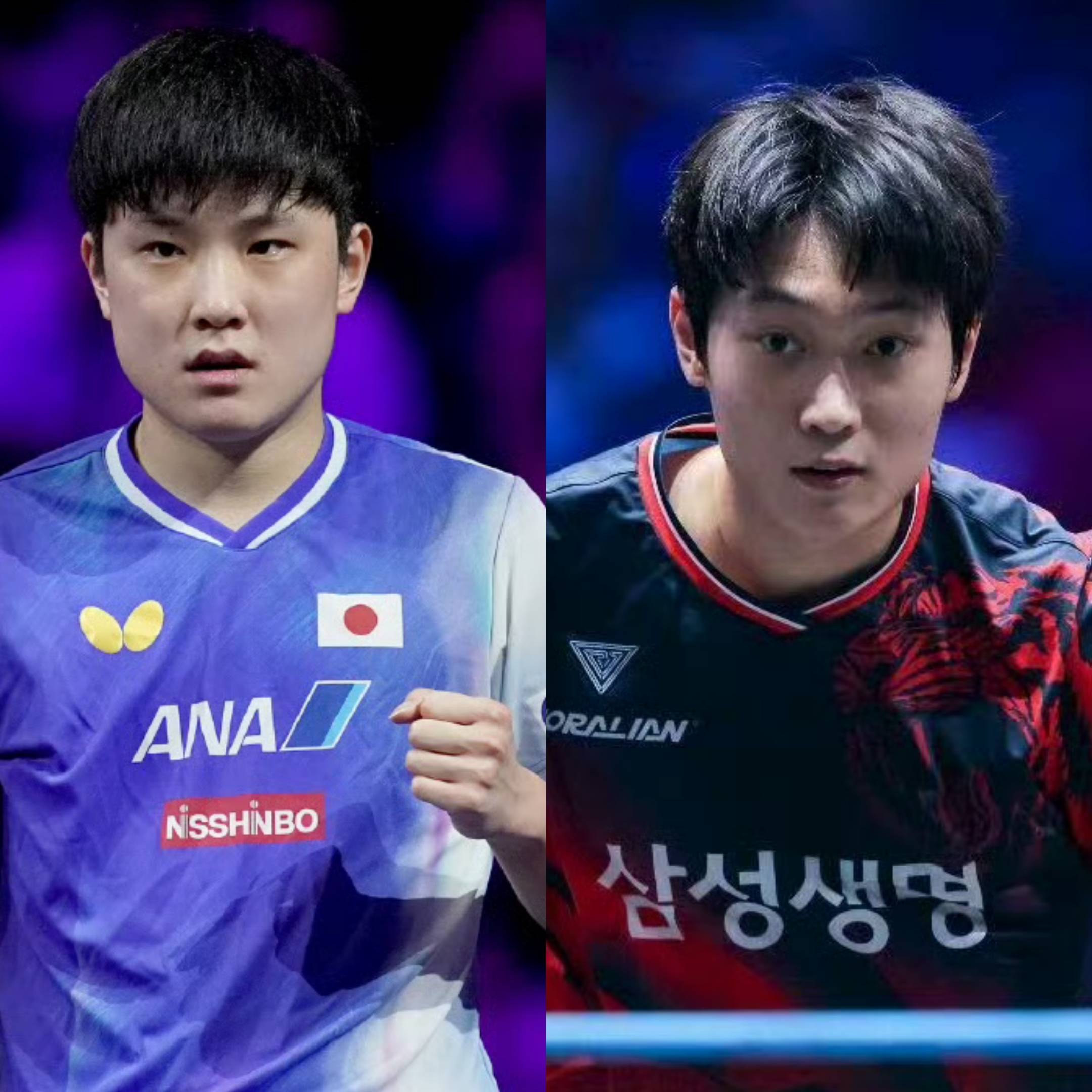 包含中国队险胜波兰队，张本智和高光表现的词条