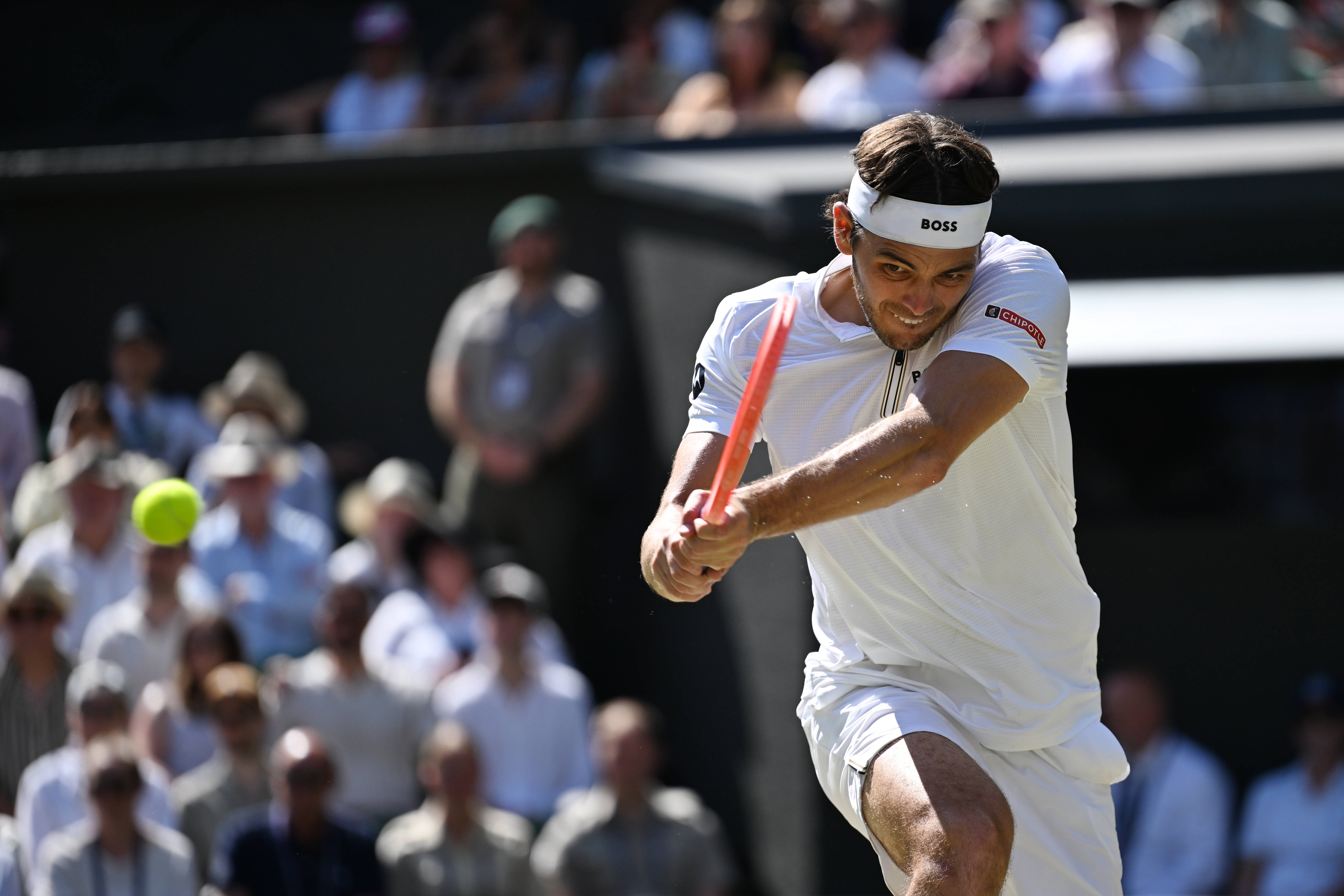 美国网球队翻盘德国网球队，阿尔卡拉斯制霸全场的简单介绍